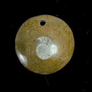 Fossil ammonite pendant. Natural polished carved piece